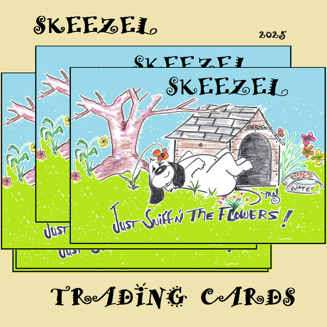 Skeezel Trading Cards Skeezel 2025 trading cards